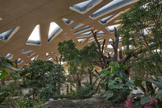Elefantenpark, Zoo Zürich, Fischer Architekten AG